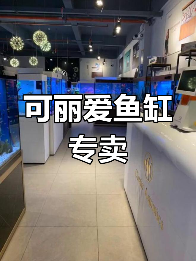 深圳水族专卖店,鱼缸选购指南