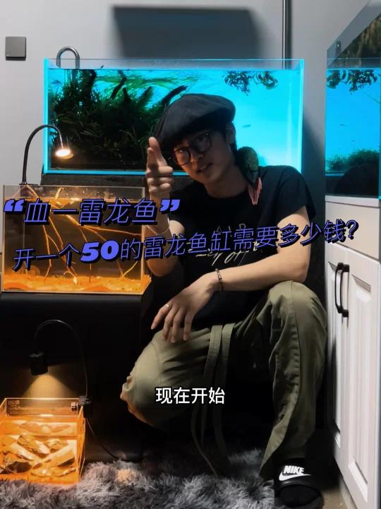 开一个50的雷龙鱼缸需要多少钱?