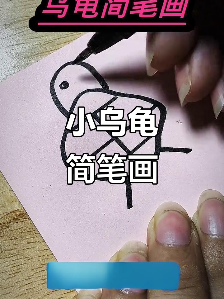 轻松学画小乌龟,简单又可爱