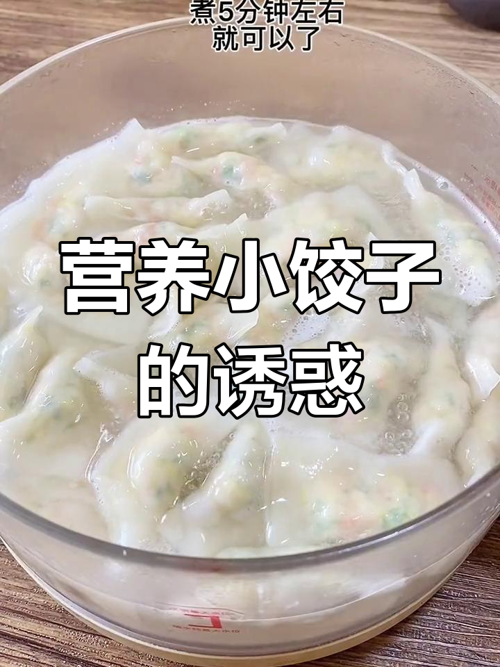 宝宝最爱的小饺子,虾仁三鲜美味十足,吃光都不肯放手!