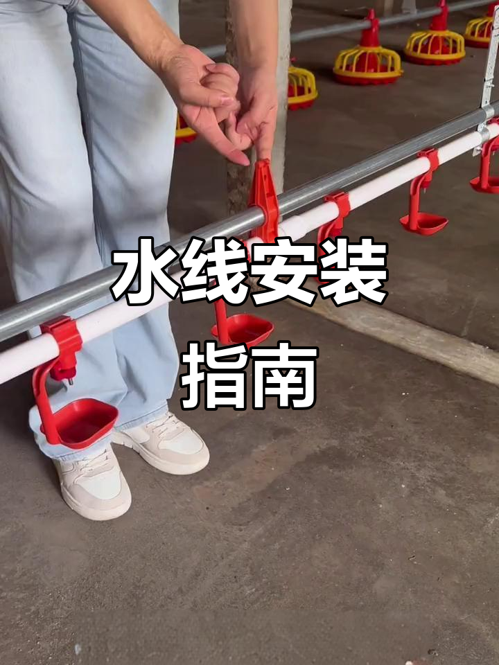 平养鸡舍水线安装,确保平衡与自动饮水器正常运行