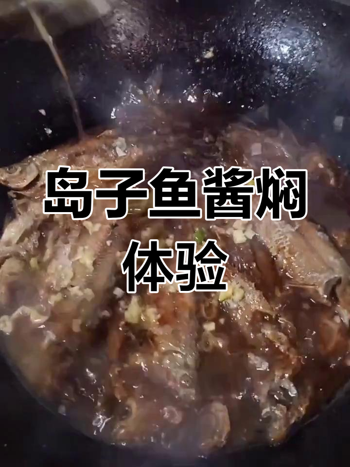 岛子鱼第一次尝试,酱焖做法刺多但味道一般