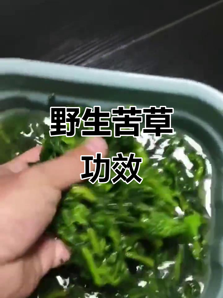 万年青野菜富含营养,清热解毒,预防血虚