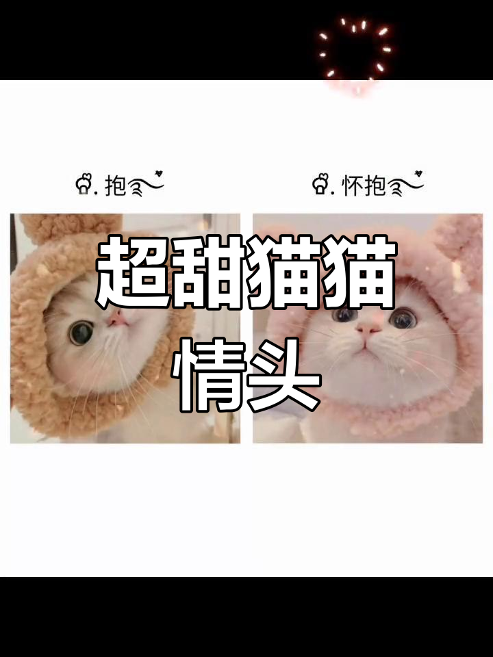 猫咪情侣头像,超萌互动