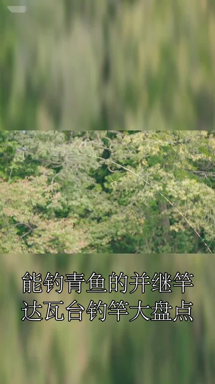 能钓青鱼的并继竿达瓦台钓竿大盘点