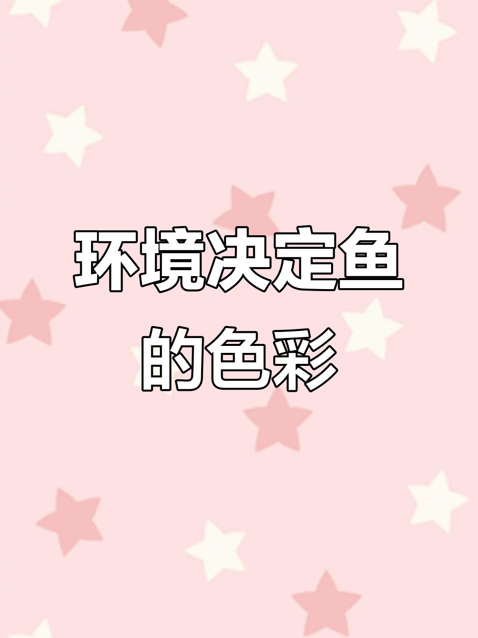 环境对鱼发色的影响有多大?从灯光到水质全解析