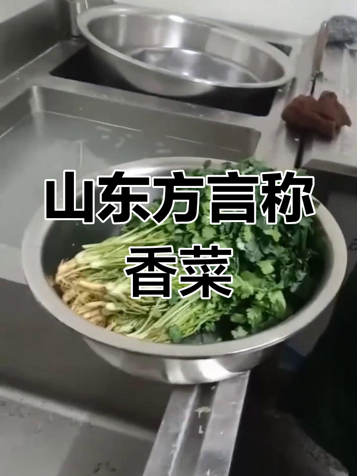山东话中的香菜叫盐碎
