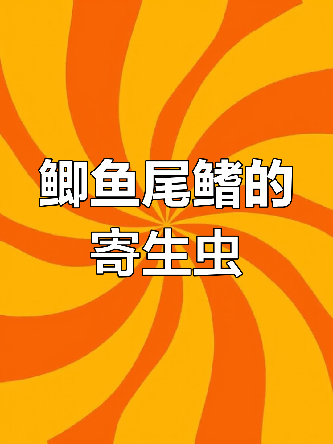 鲫鱼尾巴上的红色血丝,竟是这种寄生虫!