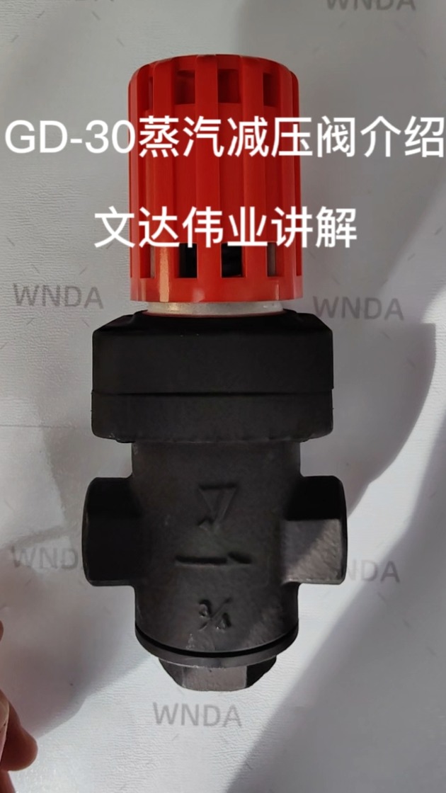 GD-30蒸汽减压阀介绍视频