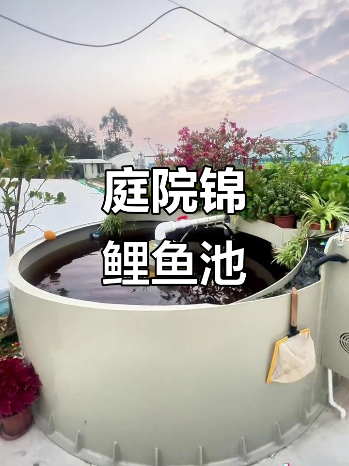 庭院鱼池设计:锦鲤与水景的完美融合