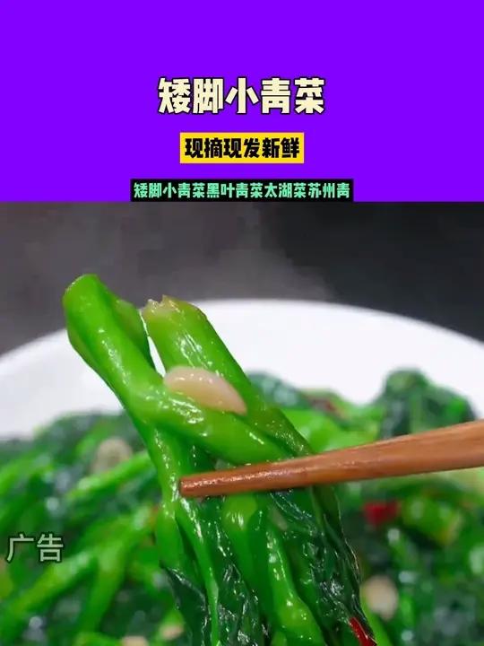 矮脚青菜 青菜每天都要吃,这个矮脚青菜正是季节,吃起来清甜脆嫩,全家人都喜欢吃 蔬菜 优质