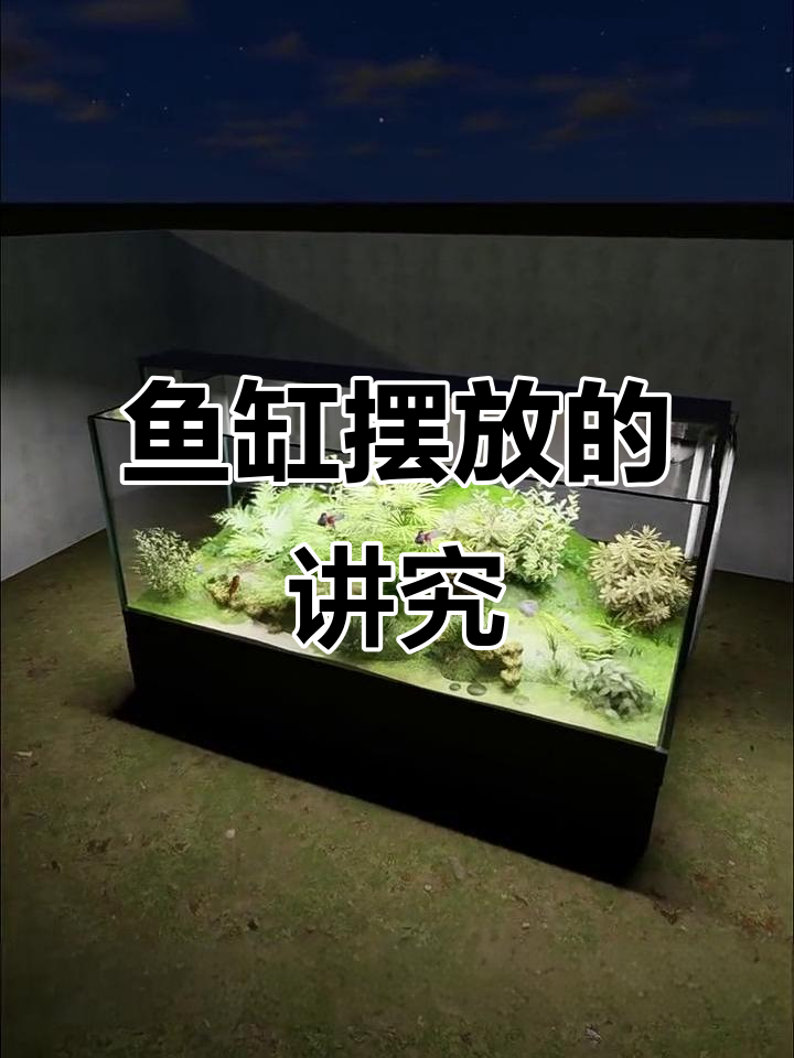 鱼缸摆放风水禁忌,如何正确选择位置