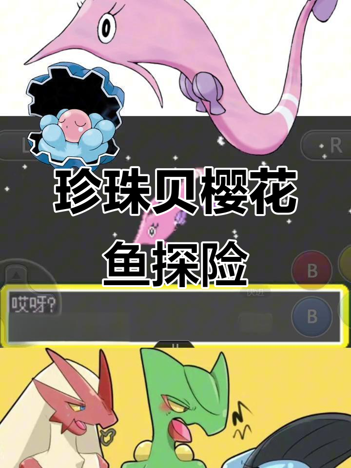 珍珠贝与樱花鱼的宝可梦之旅,探索朱紫版本新内容