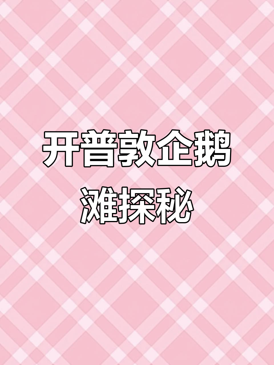 南非开普敦企鹅滩:公驴企鹅的捕食与育儿日常