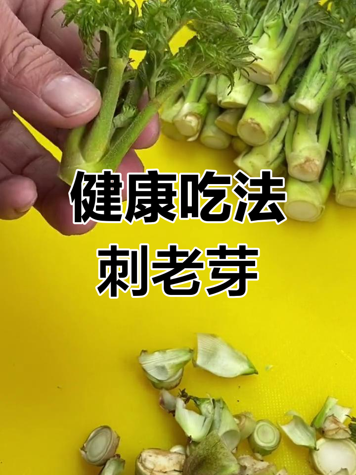 刺老芽的家常做法,营养不流失