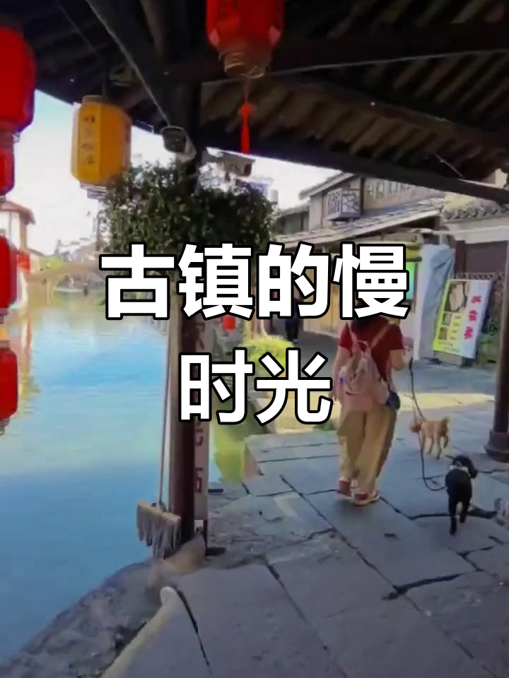 安昌古镇,岁月静好,烟火气中藏着温暖与宁静