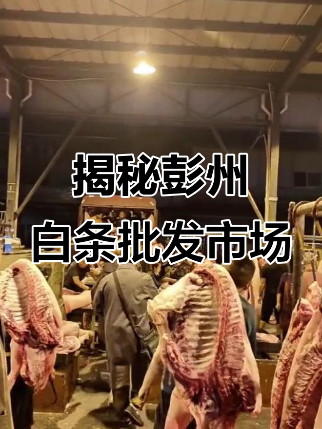探访成都彭州市最大猪肉白条批发市场,凌晨四点开门营业