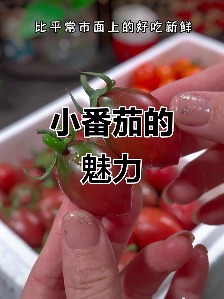回购无数次,脆爽小番茄口感绝佳,新鲜又美味!