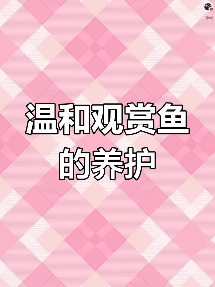 阿凡达鱼饲养指南:宝蓝凤凰球与金波子
