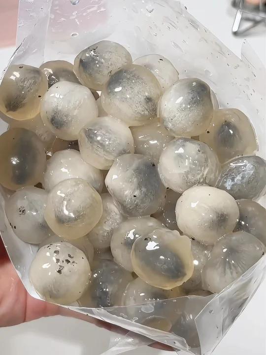 分享几个小料奶茶店将赚不到我一分……!