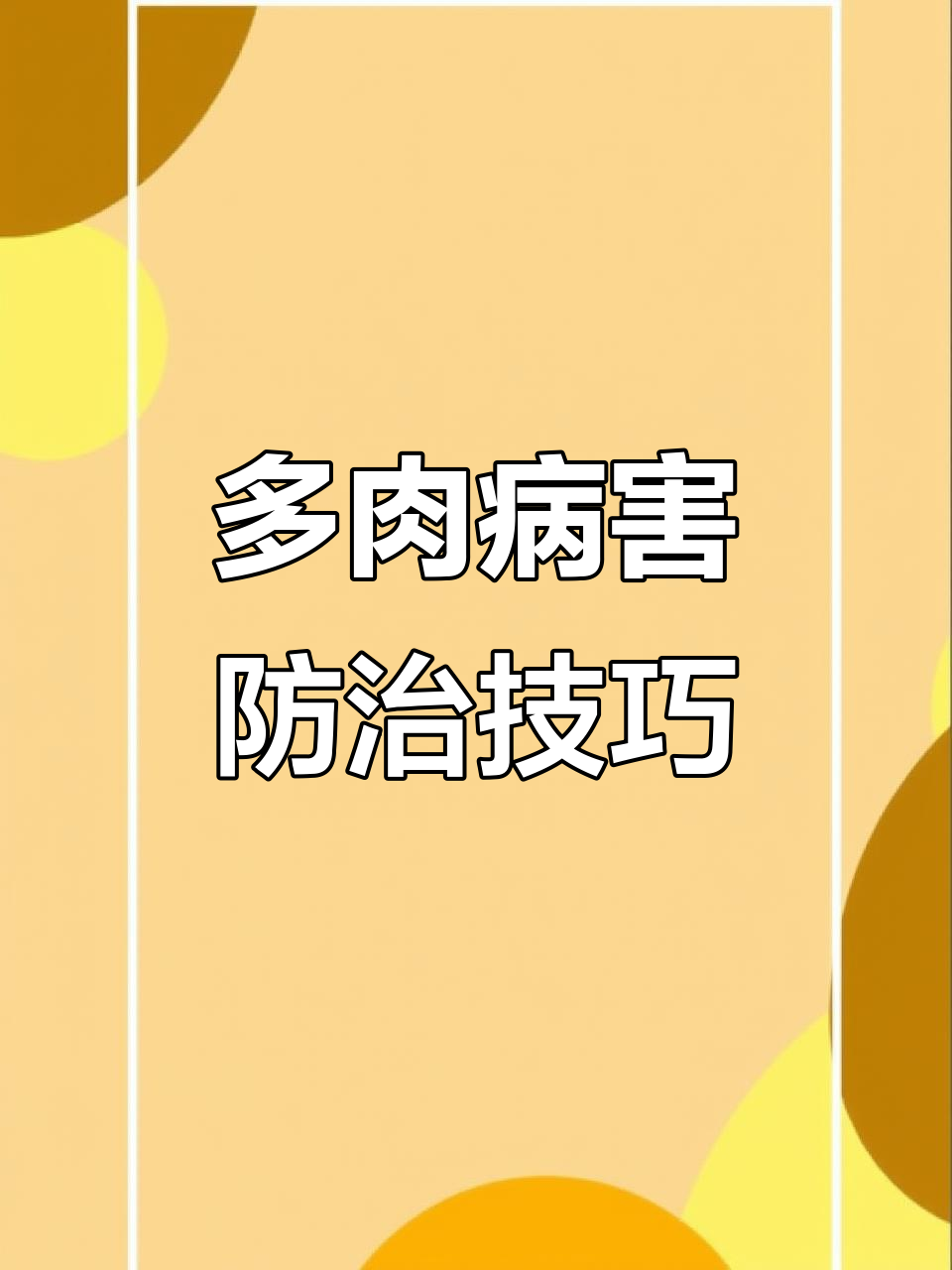 7月多肉病害高发,如何预防烟霉病和黑斑病?