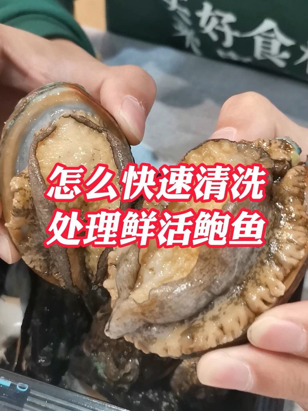 怎样清理鲜活鲍鱼呢?这样处理,快速又干净