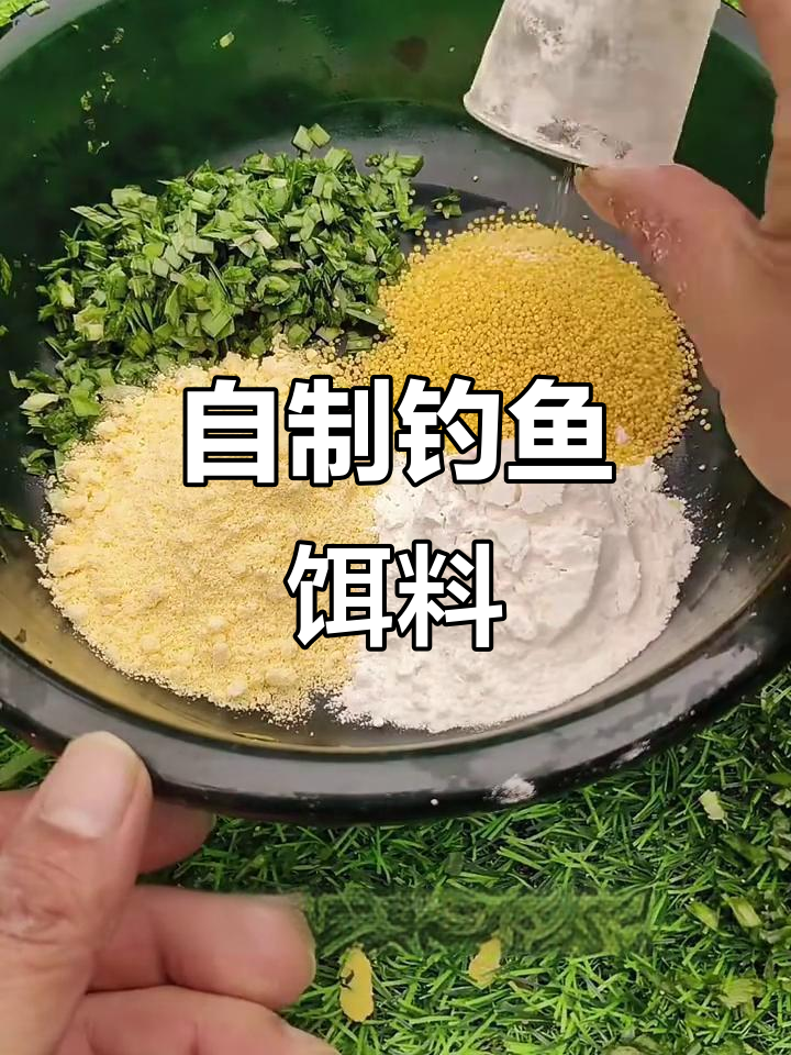 韭菜饵料钓草鱼鲤鲫,爆护秘籍大公开