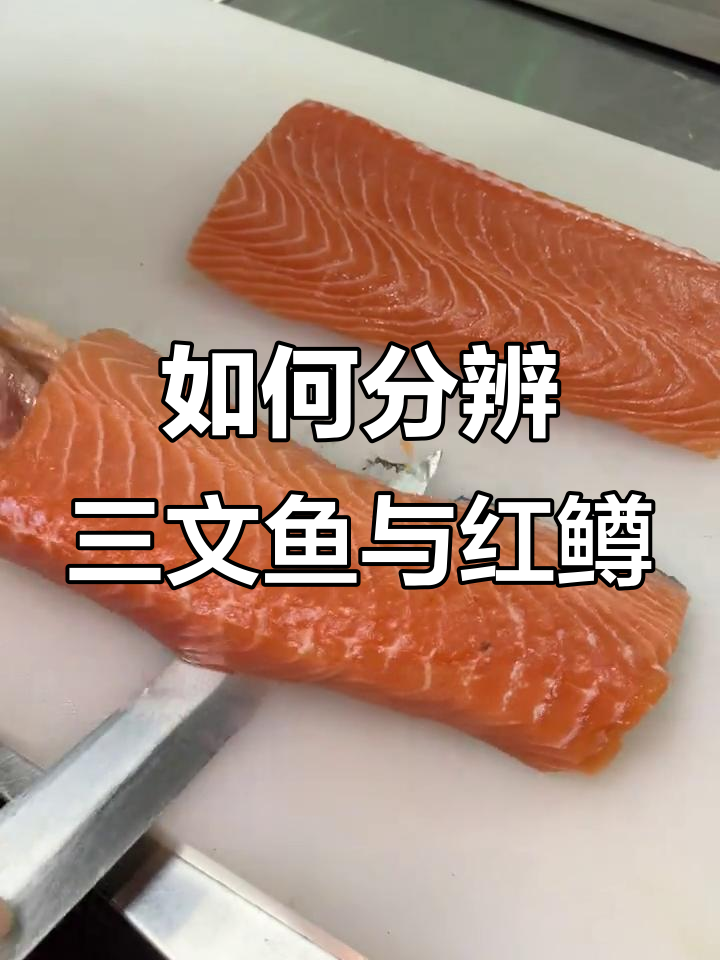 三文鱼和虹鳟怎么区分？记住这三大关键点轻松辨别