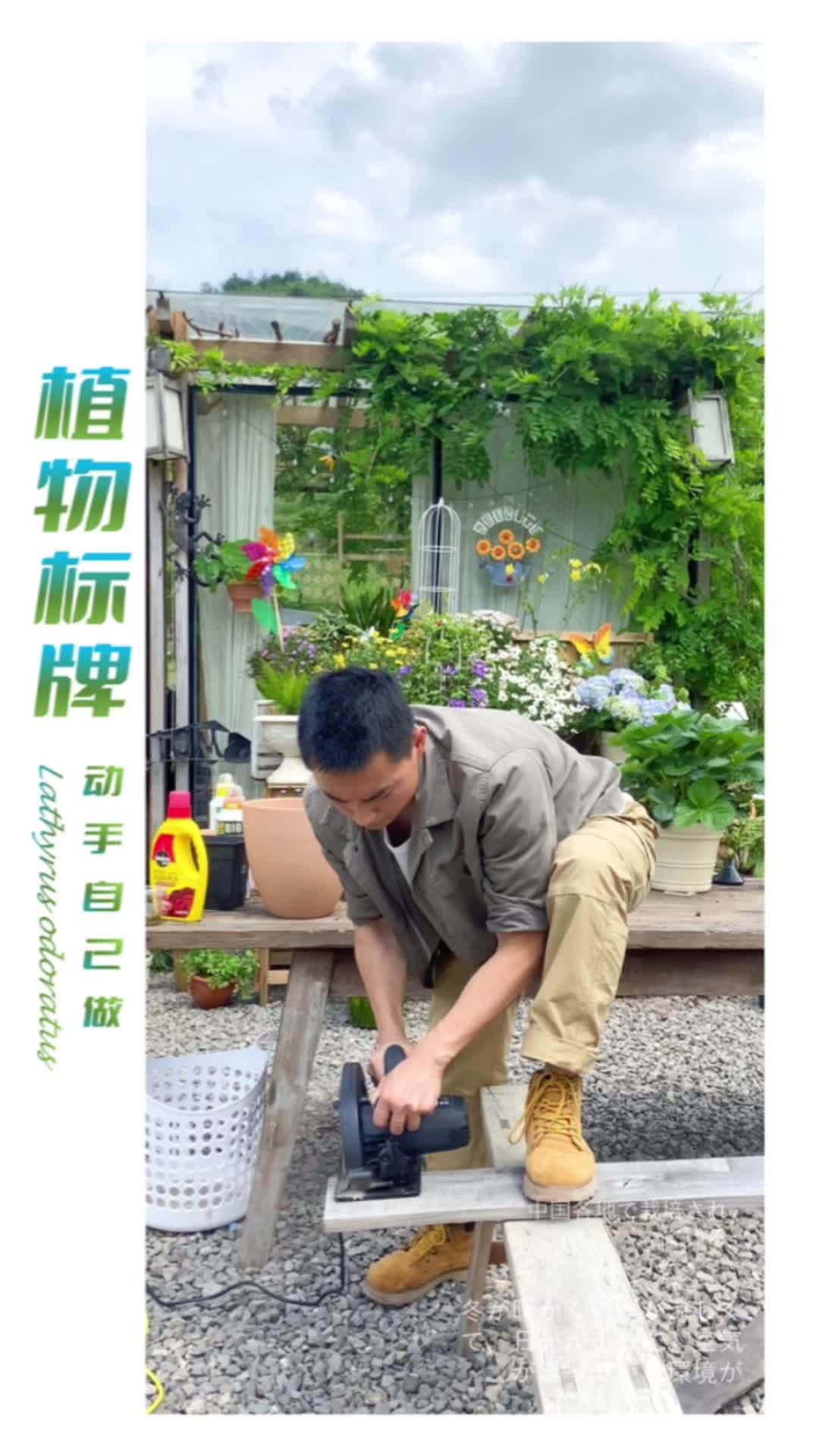 被批评没有植物标签?那就开启新技能——木工技术。养花小知识 种菜 园艺生活