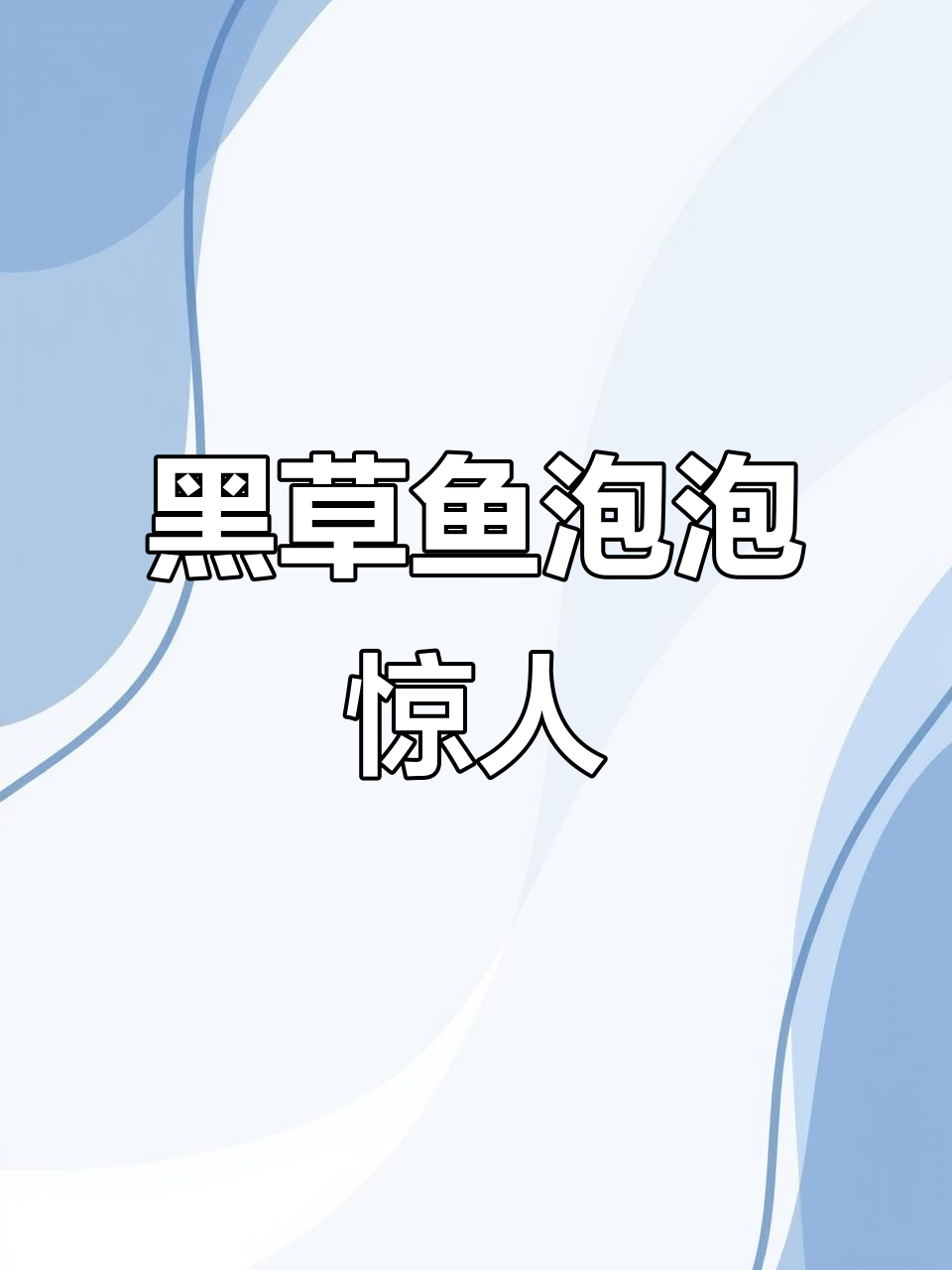 三十斤黑草鱼泡比脸皮还厚,超滑无比!
