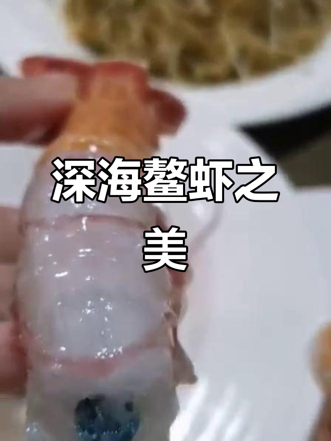 莫桑比克深海鳌虾,顶级美味刺身原料!