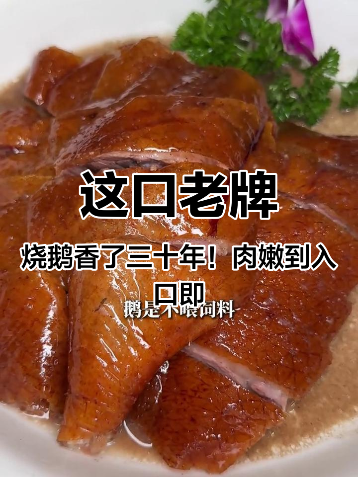 这口老牌烧鹅香了三十年!肉嫩到入口即化,这才是真正的老广味道#粤菜老字号#佛山美食#广式烧