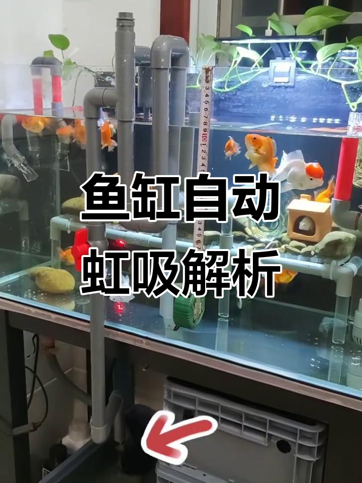 鱼缸虹吸原理揭秘：停电自停，来电复流
