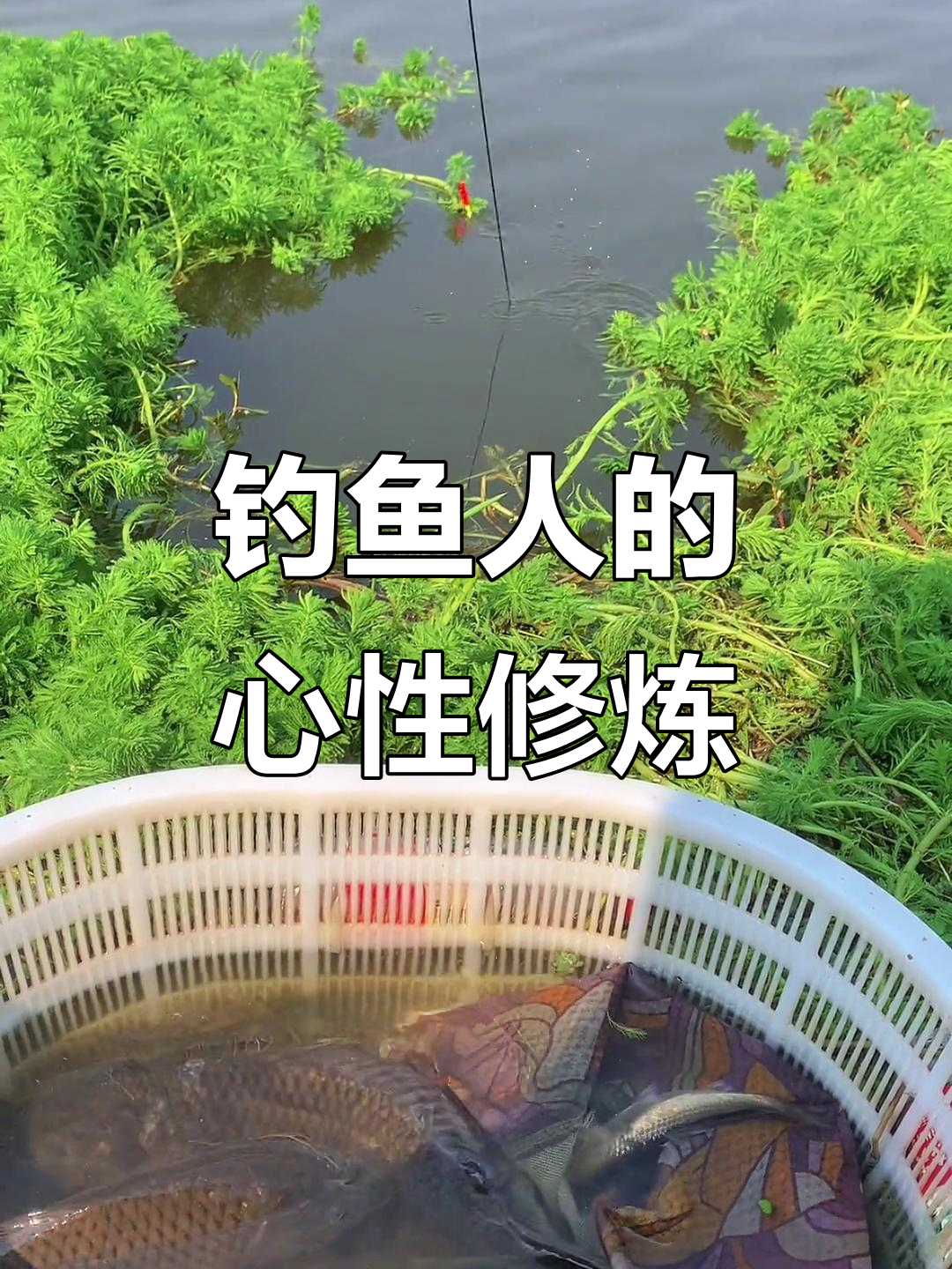 钓鱼男人的孤独与宁静,享受大自然的极致考验