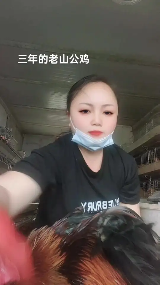 探索未知世界,发现生活中的美好瞬间