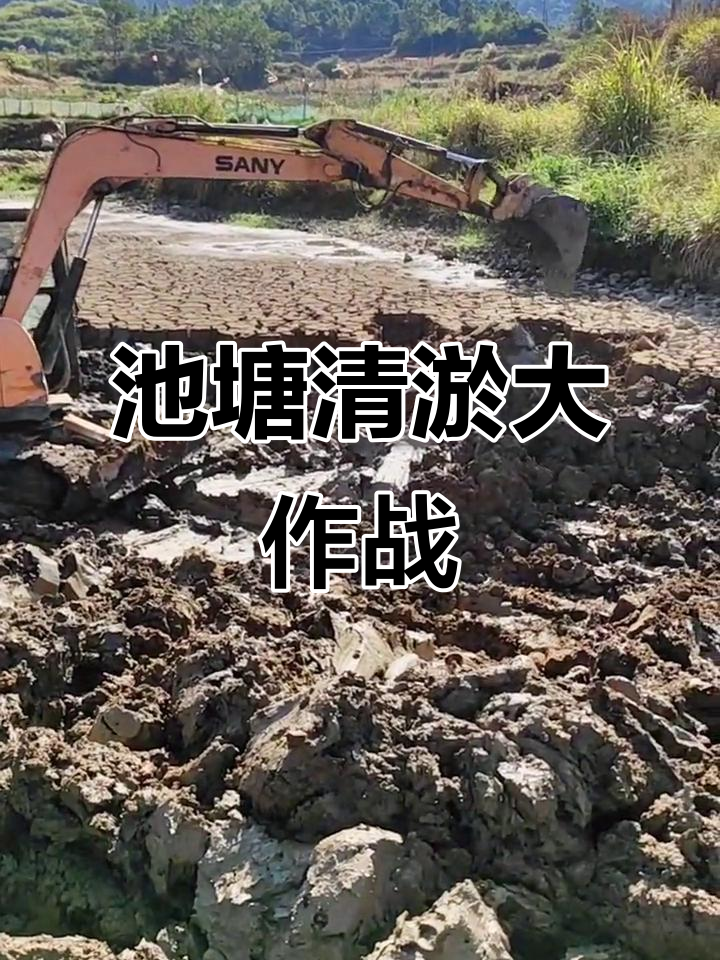 几十年没清理的鱼塘，泥深超乎想象，这次清淤值不值？