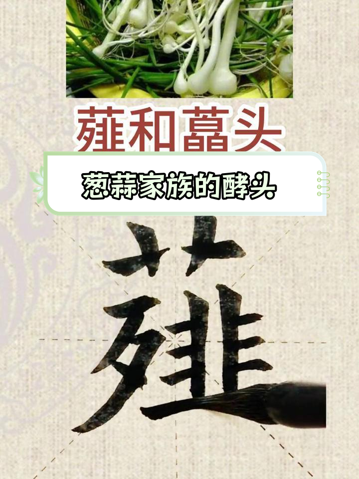 薤字读音与历史背景