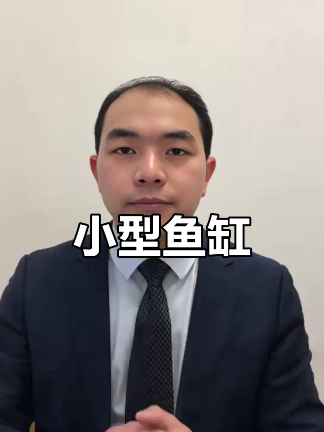 超白玻璃小鱼缸，桌面摆放，适合客厅小空间
