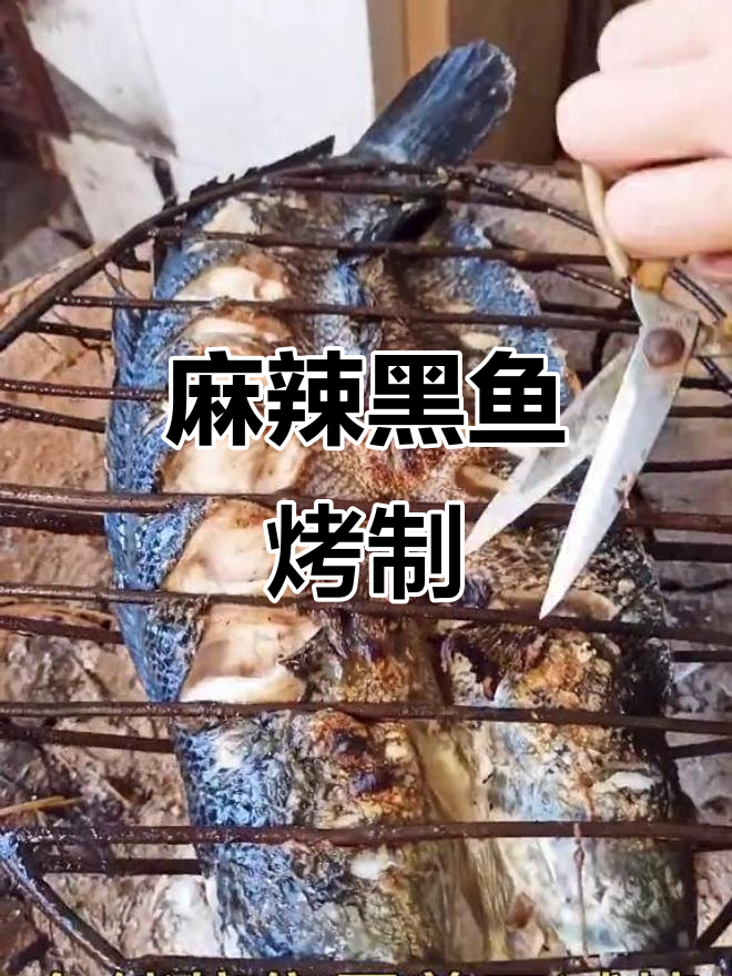 黑鱼肉质鲜嫩,麻辣烤鱼让你停不下来!