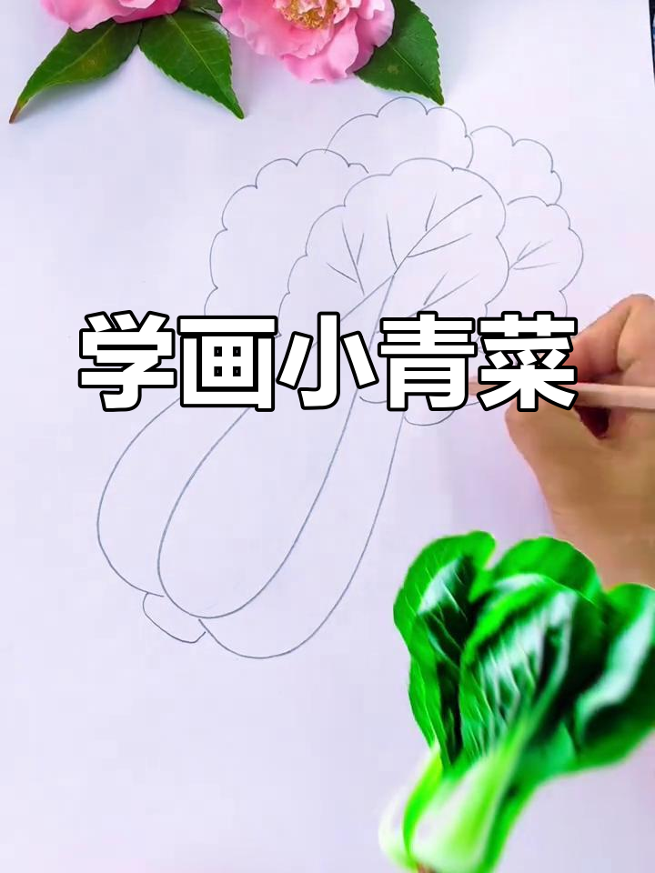 轻松学画可爱青菜，简单步骤教你画出美味蔬菜