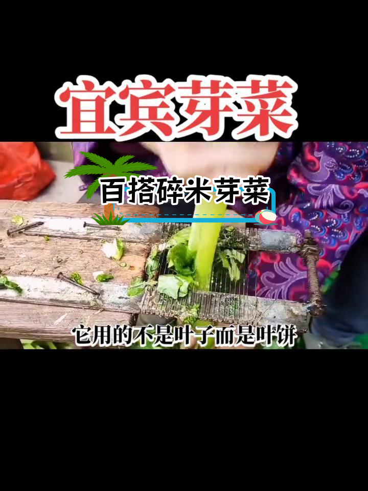 宜宾芽菜:四川特产的独特风味