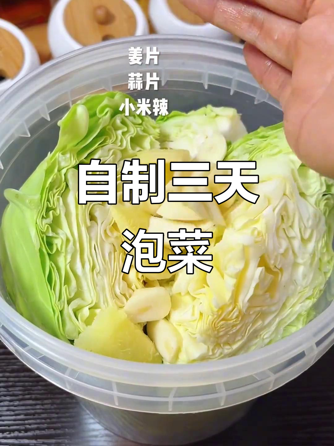三天自制泡菜，简单又干净！