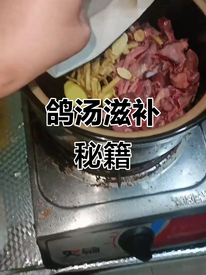 鸽子煲汤,不加血更鲜美,药材搭配慢炖,滋补又美味