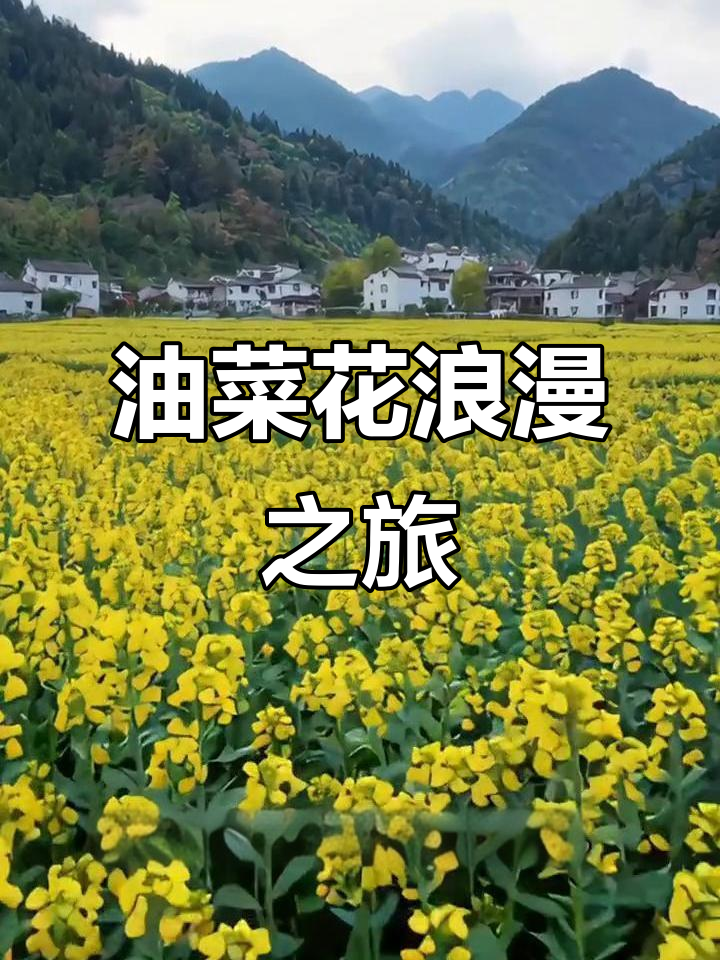 六大油菜花胜地,各具魅力,你心动了吗?