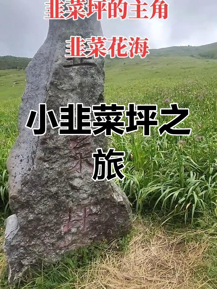 贵州屋脊之巅的小韭菜坪,探秘神秘石海与花海
