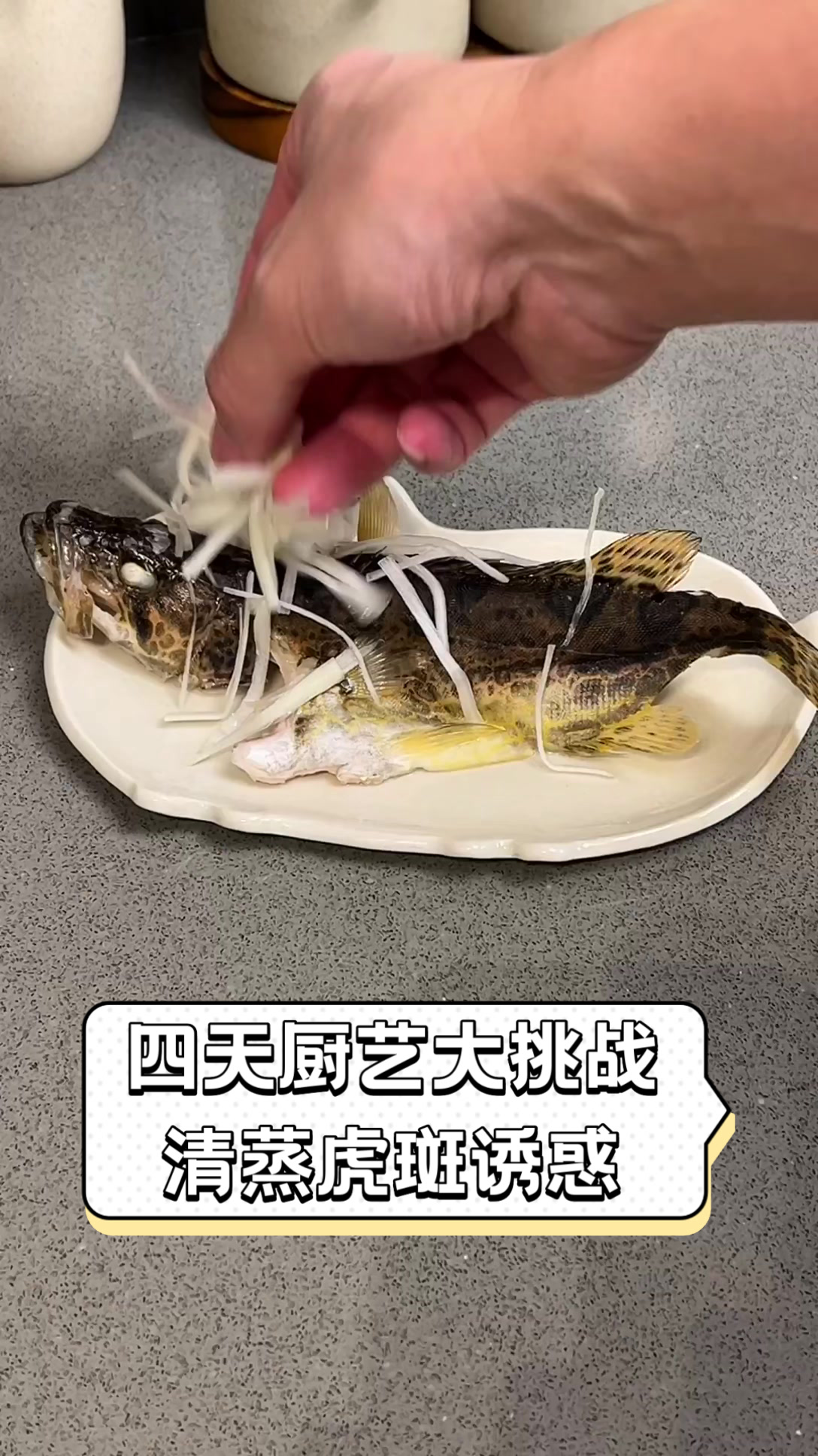 四天厨艺大挑战，清蒸虎斑诱惑