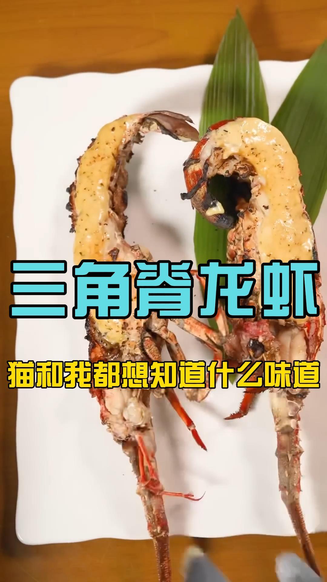 「海鲜小哥金子」烧烤三角脊龙虾 香迷糊了 抖音美食推荐官 深夜放毒系列之让你饿的睡不着 深