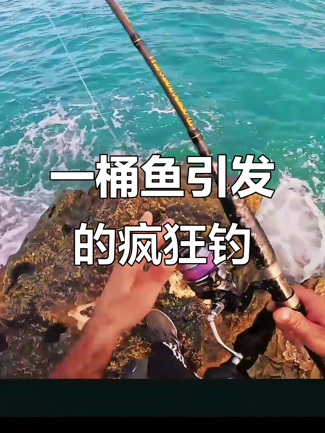 百慕大钓鱼挑战：一桶小鱼引发疯狂钓潮，怀疑人生能否坚持