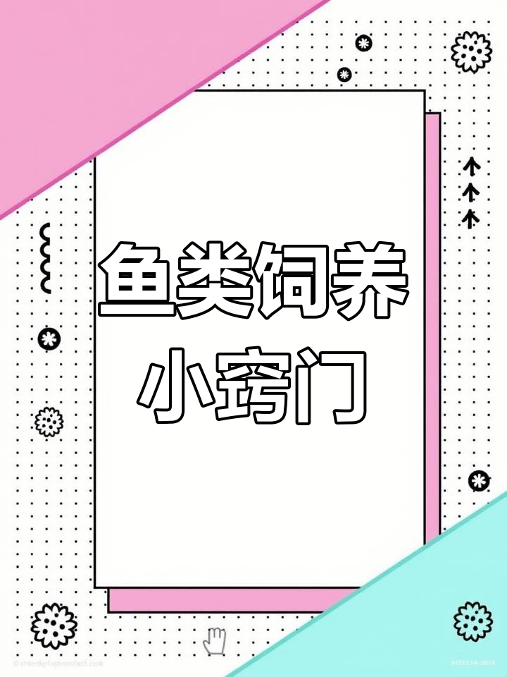 金花鱼常用沙包,珍珠系适应力强无需额外辅助
