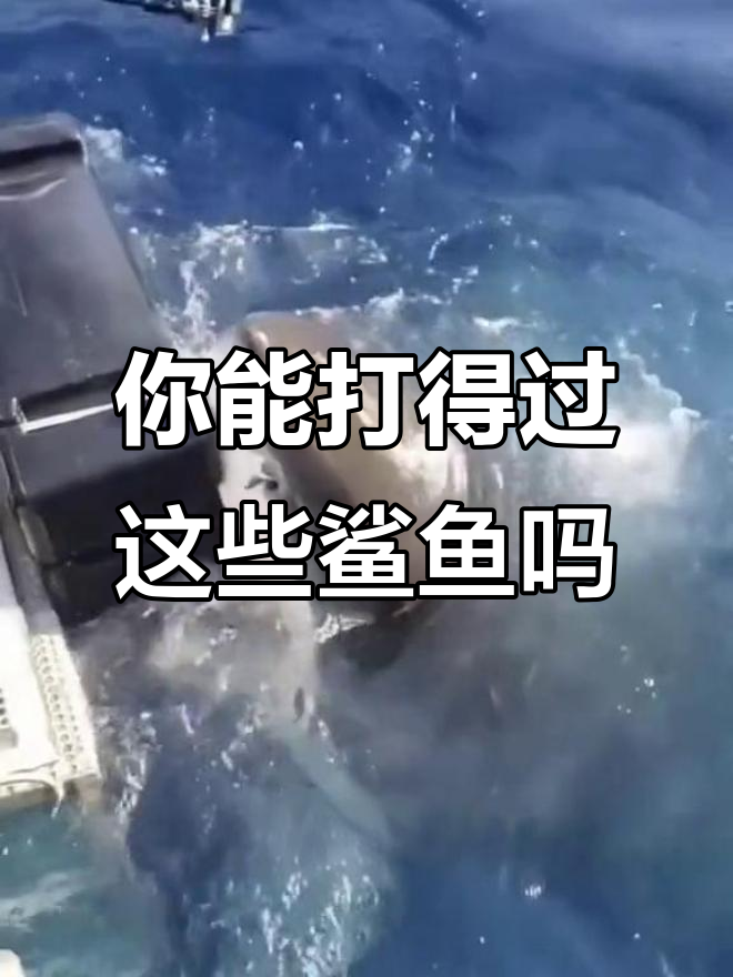 14种鲨鱼战斗力大比拼，哪种能打败你朋友？